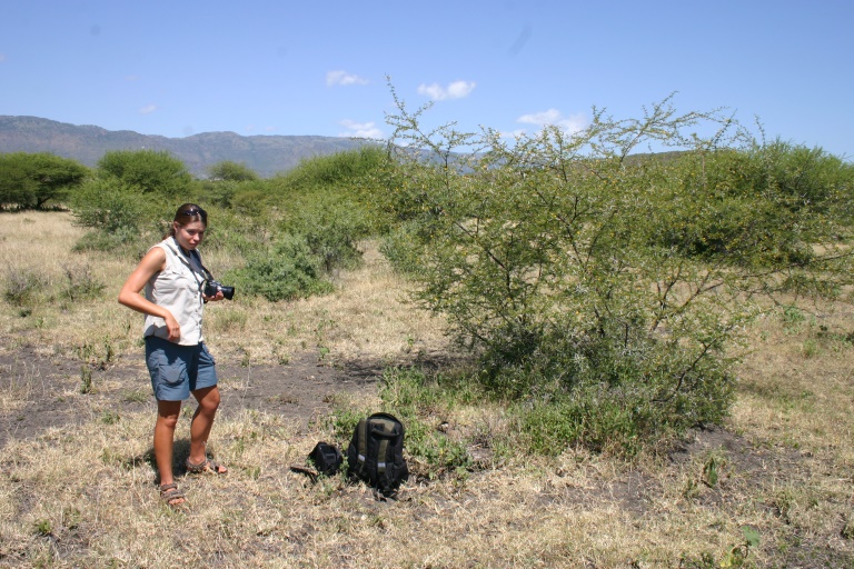 A.tenuispina bush with Karin van der Walt near Steelport, Sekhukhuneland, SA, 29.1.2007 GPS-readings:1350m; S: 24.54374 degr.; E: 030.20270 degr.